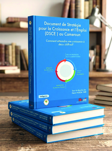 Document de Stratégie pour la Croissance et l'Emploi (DSCE) au Cameroun
